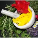 건강태극권(실용) 이미지