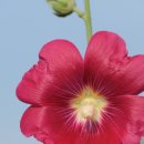 송 행정사사무소 이미지