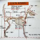 느티나무산장 이미지