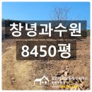 이기영공인중개사사무소 이미지