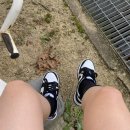 범고래상회 네이버블로그