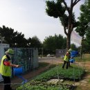 부영공원 이미지