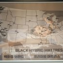 블루밍노드 이미지