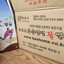 숙이네벌꿀