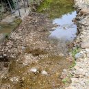 남도부식 이미지