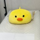 113 | 장산역왁싱 잘하는 곳 디뮤엘뷰티 해운대 브라질리언왁싱 후기