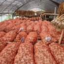 의성중부농협 신평지점 이미지