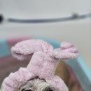 쌀롱 드 빼로 네이버블로그