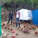 남문농장 이미지