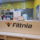 피트니아 이미지