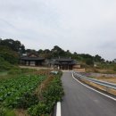 삼계강사계안 이미지