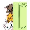 24시OK동물병원 이미지