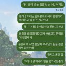나우커피작전점 | 2025 - 11