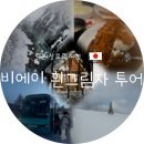 (합자)명성관광여행사 | 🗾[삿포로 3박4일] 비에이 버스투어 '흰그림자' 솔직 후기 (준페이 예약, 닝구르테라스 시간, 멀미약...