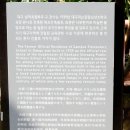 삼덕도서관 이미지