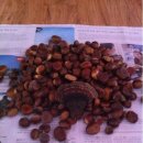 방동축사 이미지