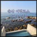또래오래서생점 | 울산 여름여행코스 가볼만한곳 감성숙소 맛집 추천