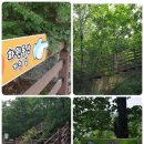 화원유원지 이미지