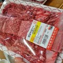 애견프라자 이미지