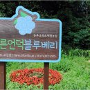 민희농장 네이버블로그