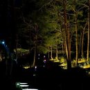 화성행궁 이미지