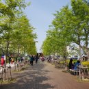 포항철길숲 이미지