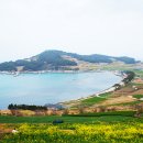 보길도 - 고양시 일산동구 정발산로 15 | 보길도
