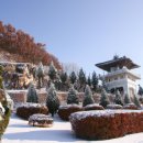 용평관광단지 이미지