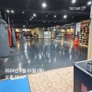 성남권투체육관 | 30대 직장인 MMA 1개월 후기, &#34;조금은 알 것 같은 느낌적인 느낌..&#34;