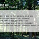 무풍면041 네이버블로그