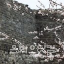 봄날처럼민박 이미지