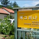 사랑나무공방 네이버블로그