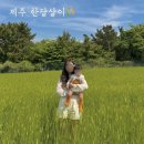 제주시농협하나로클럽오라점 | [돌아기랑 제주 한달살이] 10일차 : 이재모피자 / 오라동메밀밭(청보리밭)