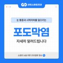 과천스마트안과의원 이미지