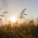 상계종합사회복지관 이미지