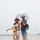 천리포 해변의 여인들, 해바라기 사장님과 올래정원 빗속의 오후를 즐기고... (7. 22 짱가님 진행2) 이미지