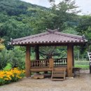 대복민박 이미지