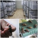 구미정드림캠프협동조합 네이버블로그
