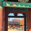 덕진-61 | 11월 전주 1박 2일 여행을 가장한 원정 여행