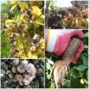 우람농장 이미지