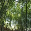 송송송PC 이미지