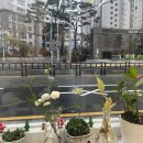정쌤헤어 이미지