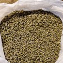 녹두 꼬투리 까기 이미지