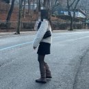 허쉬퍼피 이미지