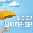 고기취향