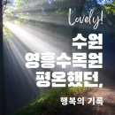 힐링에세이+ 숲(영흥수목원) | 수원 영흥수목원 나들이ㅣ흐린 날에도 힐링, 가족 산책 코스ㅣ수지, 광교 주말 산책하기 딱 좋아!