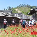 영상테마파크 뉴시스
