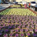 의령읍사무소 이미지