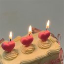 스테이담안 이미지