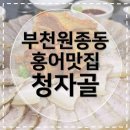 미스터홍탁 | [원종동홍어맛집] 청자골 홍어삼합맛집 아빠돈아빠산 후기